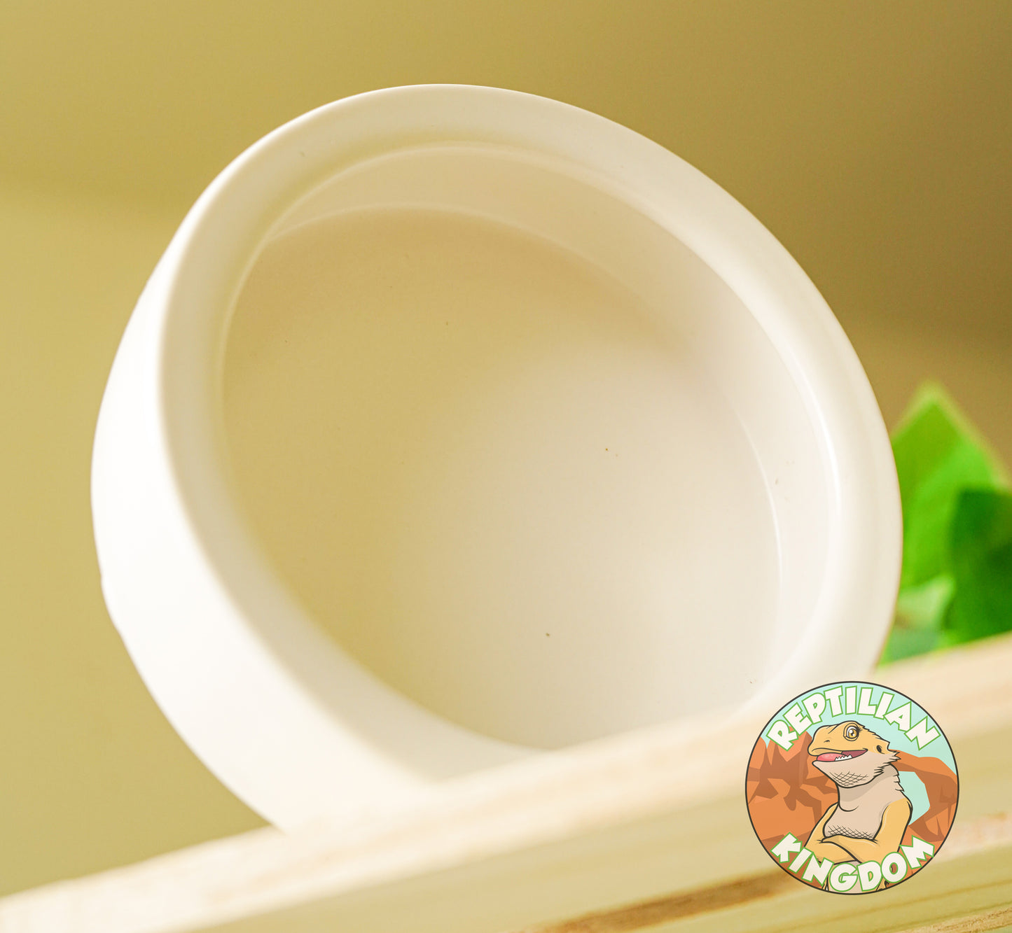 ESCAPE PROOF Reptile Feeding Bowl