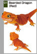 Bearded Dragon & Leopard Gecko Japanese Figures