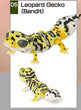 Bearded Dragon & Leopard Gecko Japanese Figures