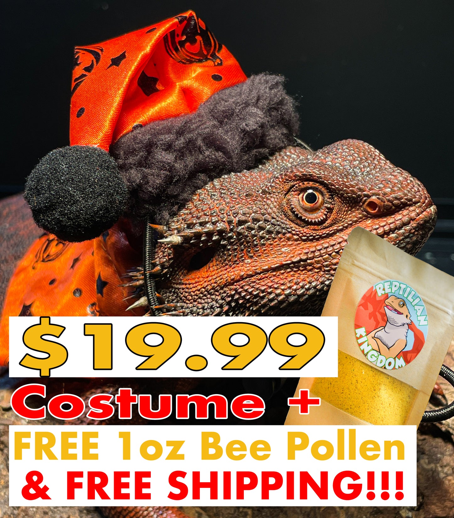 Dragon Hat and Cloak Holiday Costume