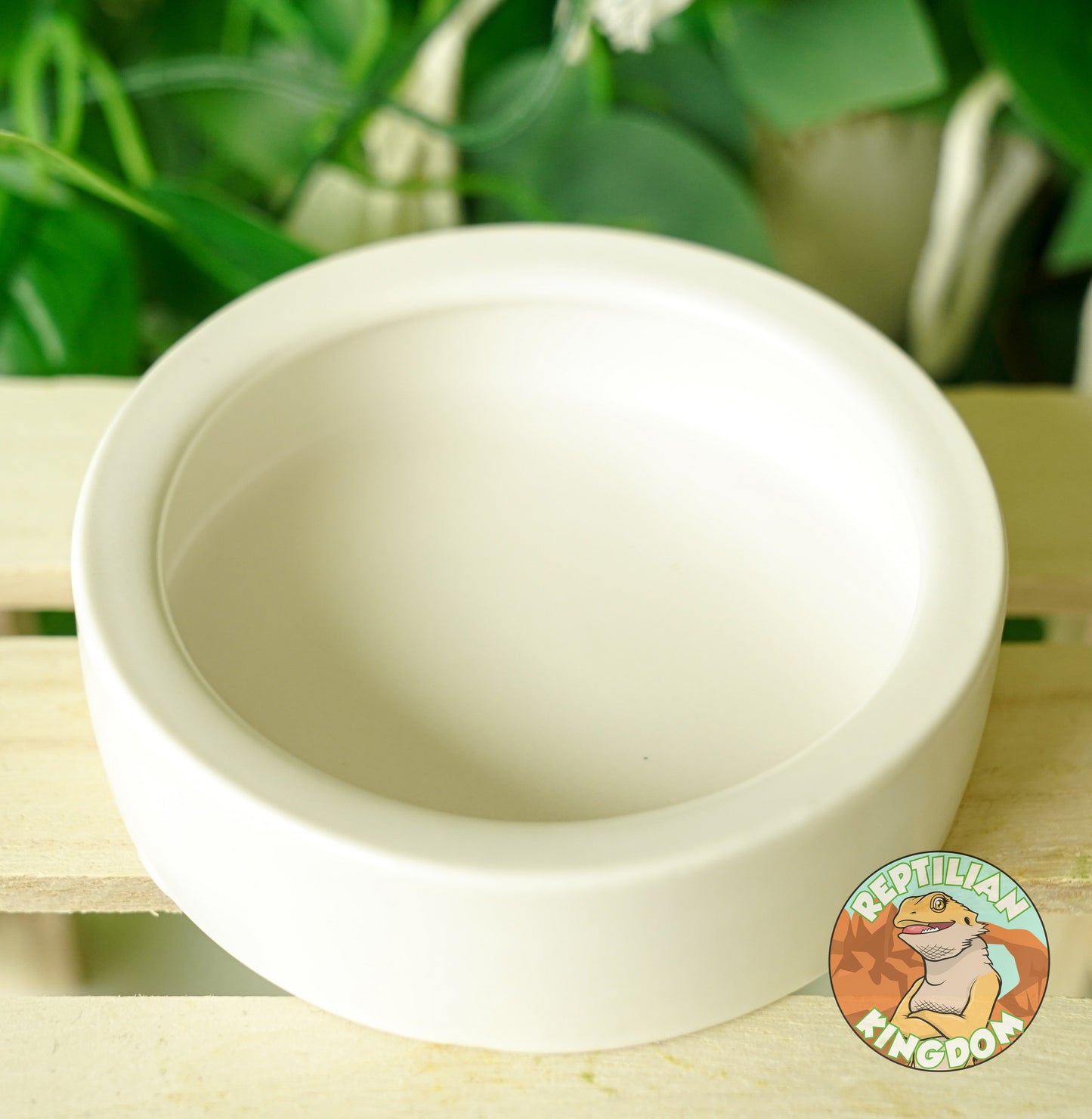 ESCAPE PROOF Reptile Feeding Bowl